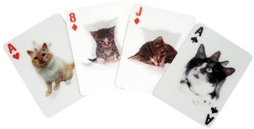 3D cat playing cards featuring lenticular cats