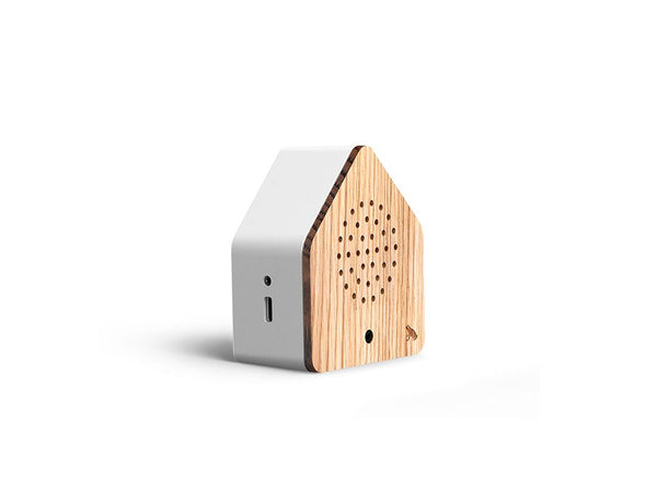 Tree Frog Sound Satellite Box