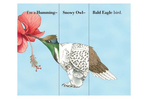 Flip-A-Feather By Sara Ball