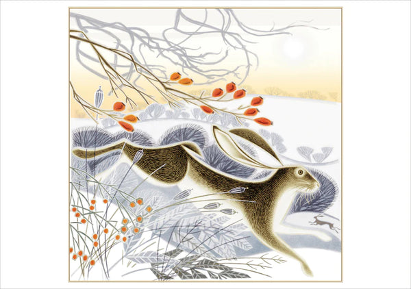 Jenny Tylden-Wright: Hips, Haws and Hares Holiday Cards