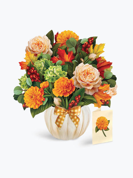 Pop-up Pumpkin Spice Greeting card