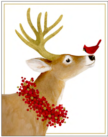 Deer and Cardinal Boxed Holiday Cards