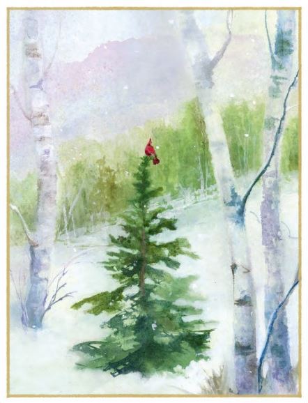 Boxed Holiday Cards - Cardinal in Woodland