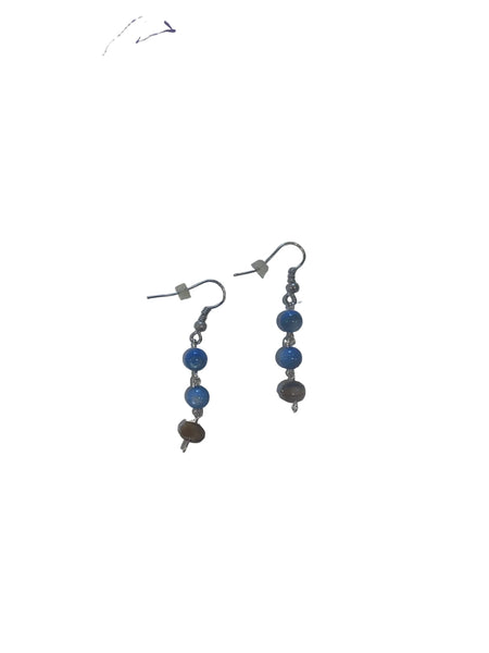 Pair of beaded earrings on a white background