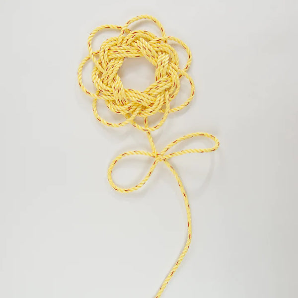 Flower Lobster Rope