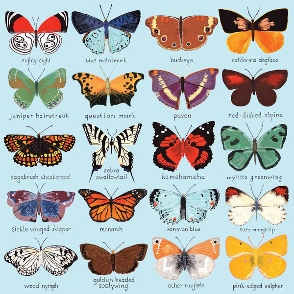 Illustration of many varieties of butterflies