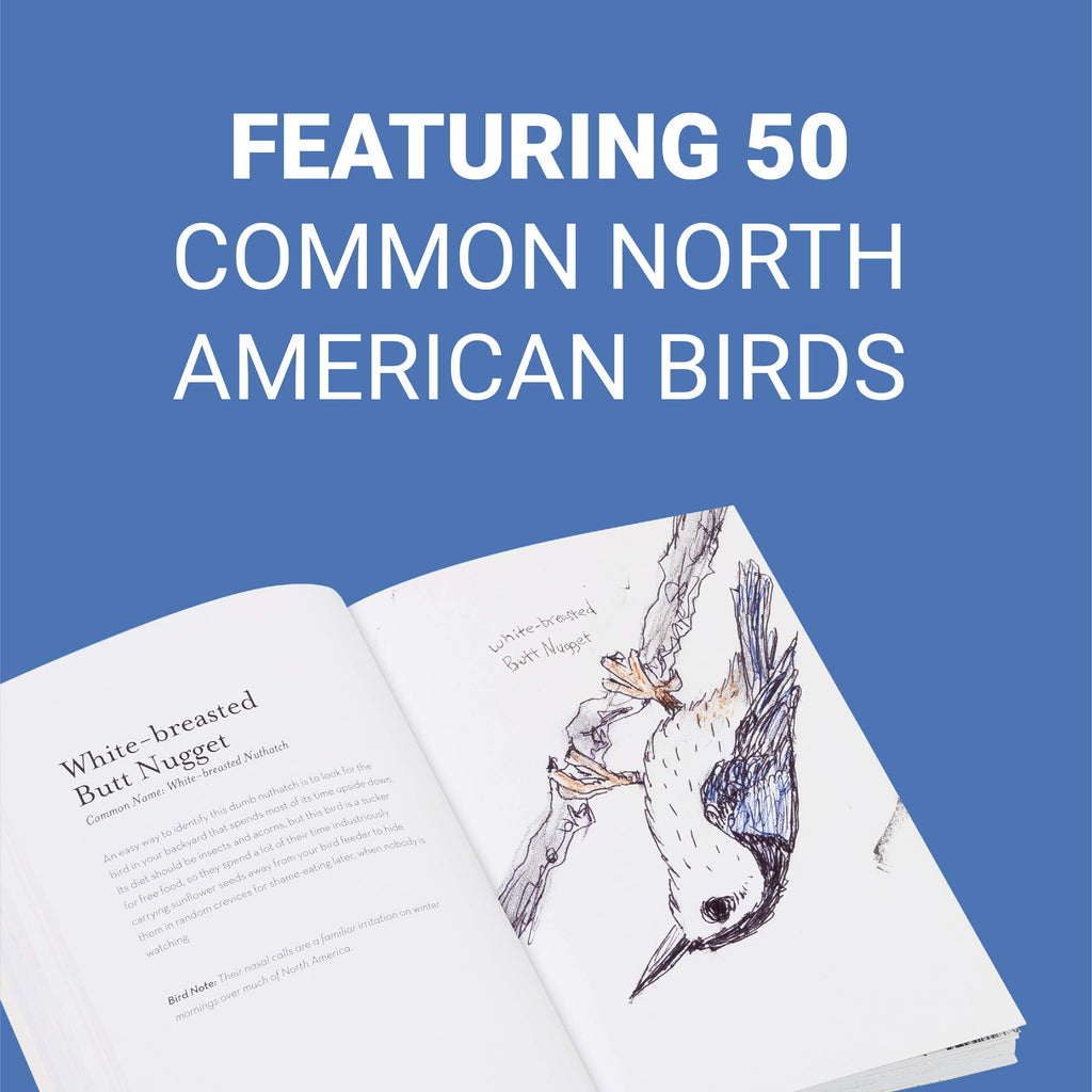 The Field Guide to Dumb Birds of North America – Wadsworth Atheneum